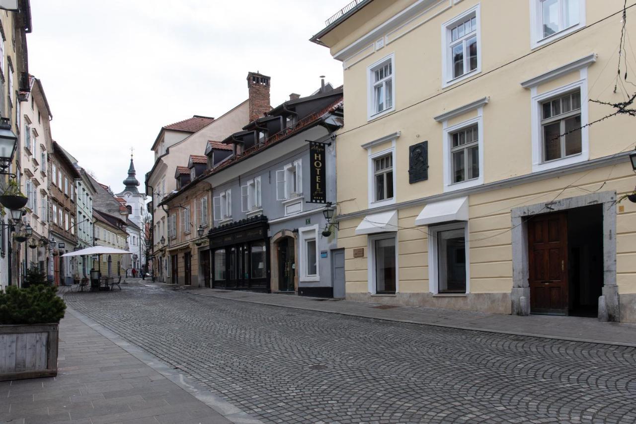 Appartement Bright & Spacious Loft In The Heart Of Old Town à Ljubljana Extérieur photo